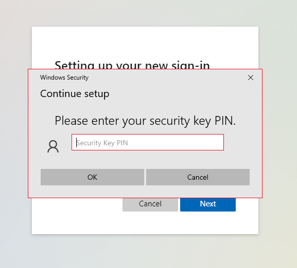 Security key PIN